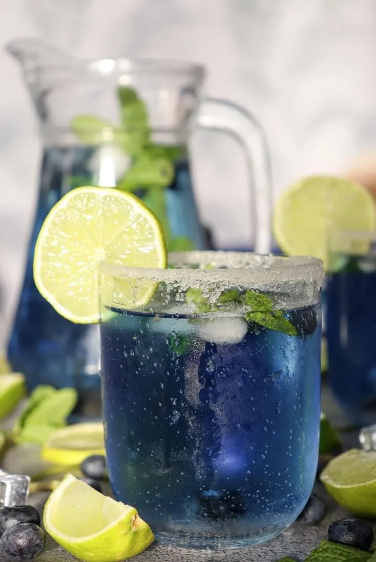 Blueberry Mint Mojito